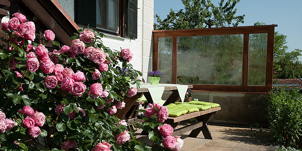 Copyright Gerlind Schiele Photography Tegernsee +49 (0) 170 - 908 85 85